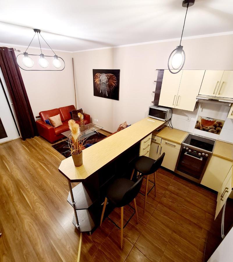 Apartament Pod Sympatycznym Sloniem. Apartment Torun